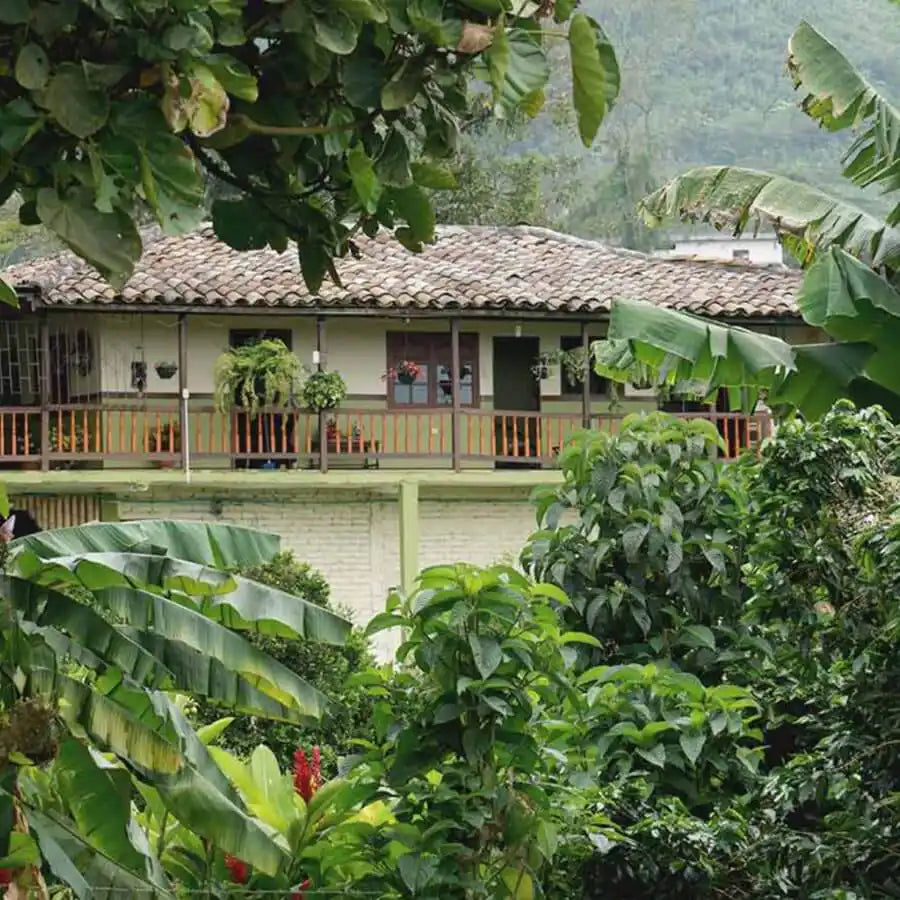 Kolombiya La Guamera'nın Hikayesi